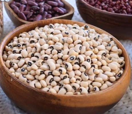 Thumbnail for Benefits Of White Beans ( 10 Amazing Benefits Of White Beans)