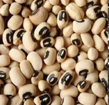 Benefits Of White Beans