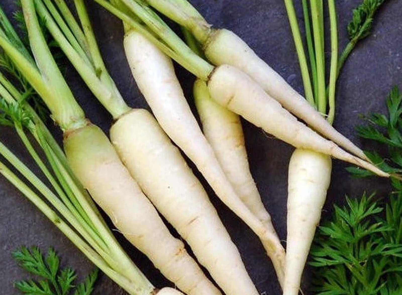 The Benefits Of White Carrot 