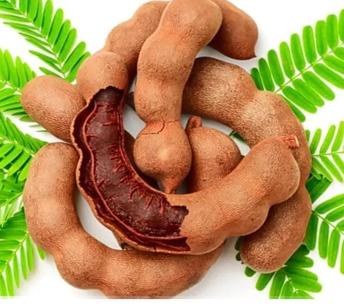 Thumbnail for Tamarind And Its 6 Benefits