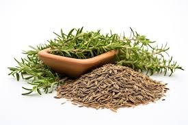 Health Benefits Of thyme 7 Amazing Benefits